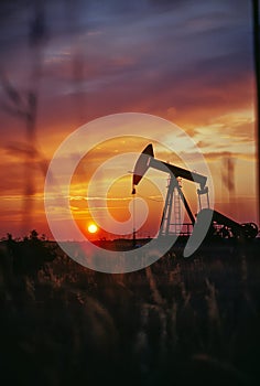 Oil pump in the oil field at sunset