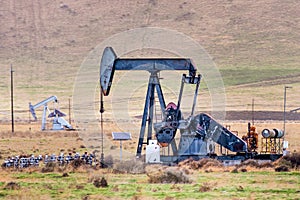 Oil pump operating on the Kern County petroleum field, Bakersfield, California