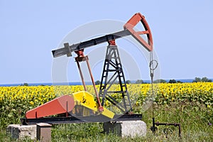 Oil pump with sunflowers field