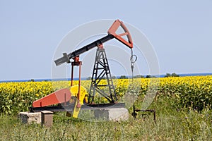 Oil pump with sunflowers field