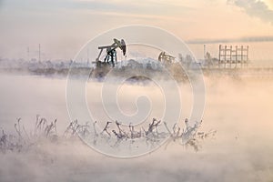 The oil pumping units in morning fog