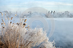 The oil pumping units in morning mist