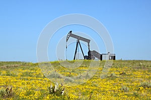 Oil Pumpjack on Prairie