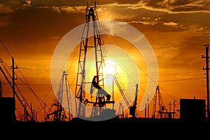 Oil pumps, derricks at sunset