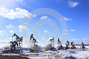 Oil pumps in the early spring