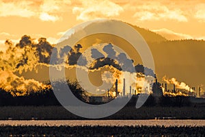 Oil refinery backlit by the setting sun as steam rises