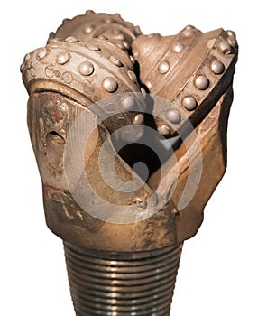 Oil rig drill bit