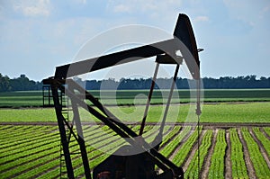 Oil Rig in Green Field