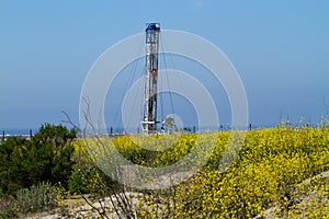 Oil Rig Surrounded By Ocean and Flowers