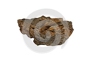 Oil shale stone isolated on white background. Sedimentary rock that is rich in kerogen. photo