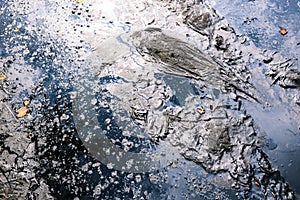 Oil slick texture. Oil spill. Ecological catastrophy photo