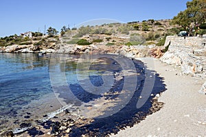 Oil spill. Environmental disaster. View of the polluted beach.