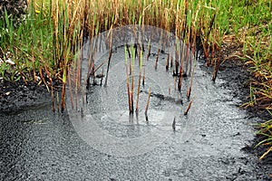 Oil spill on the surface of the pond - environment pollution.