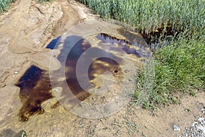 An oil spill from the tractor launched on a field path