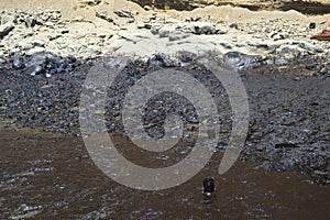 oil spills on the beaches of the pacific ocean with contaminated rocks of repsol company in lima peru in the year 2022