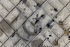 Oil-stained tiles in the parking lot