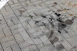 Oil-stained tiles in the parking lot