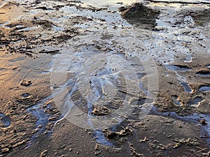 Oil stains on beach sand environmental disaster