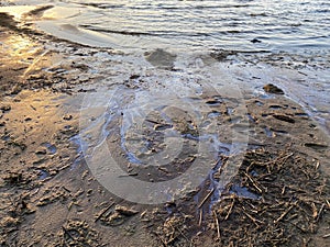 Oil stains on beach sand environmental disaster