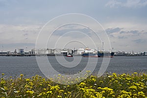 Oil tanker arriving in the port of Rotterdam