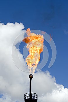 Oil torch