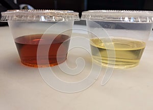 Oil and Vinegar In Small Plastic Containers Italian Resturant Salad Dressing