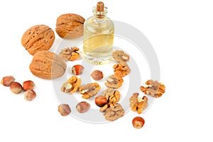 Oil of walnut and hazelnut, nuts isolated on white background.