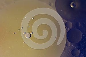 Oil and water bubbles photo