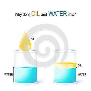 OIL and WATER. school experiment