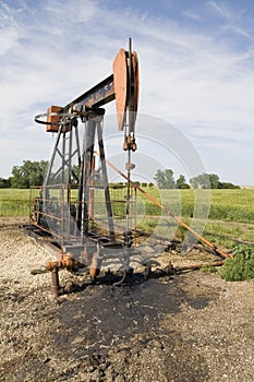 Oil well pump