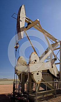 Oil well pump head