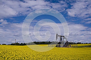 Oil well pump jack in yellow f