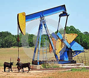 Oil well pumper photo