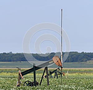 Oil Well photo
