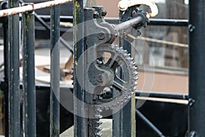 Oiled Up Cogs