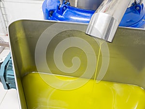 Oilive oil production. The final product - Extra Virgin Olive Oil photo