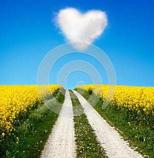 Oilseed and a heart shaped cloud