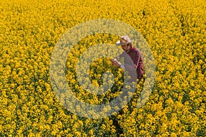 Oilseed rape farmer examining crop flowers in field