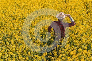 Oilseed rape farmer looking over cultivated field in bloom