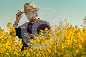 Oilseed rape farmer writing notes on clipboard notepad in blooming field