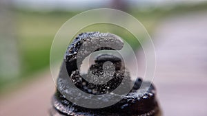 Oily and charred car sparkplug macro photo