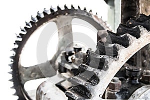 Oily gears