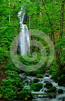 Oirase gorge in Aomori, Japan