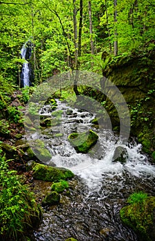 Oirase Gorge in Aomori, northern Japan