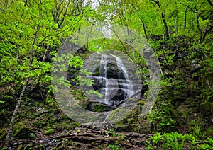 Oirase Gorge in Aomori, Tohoku, Japan