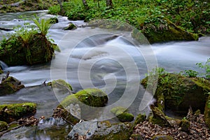 Oirase gorge in fresh green, Aomori, Japan