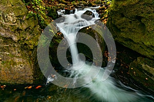 Oirase Mountain Stream flow passing green mossy rocks covered with colorful falling leaves