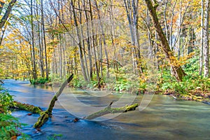 Oirase stream in autumn, Aomori, Tohoku, Japan photo