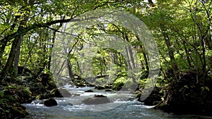 Oirase Stream in autumn sunny day. Towada Hachimantai National Park, Aomori Prefecture, Japan