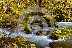 Oirase Stream in sunny day, beautiful fall foliage scene in autumn colors